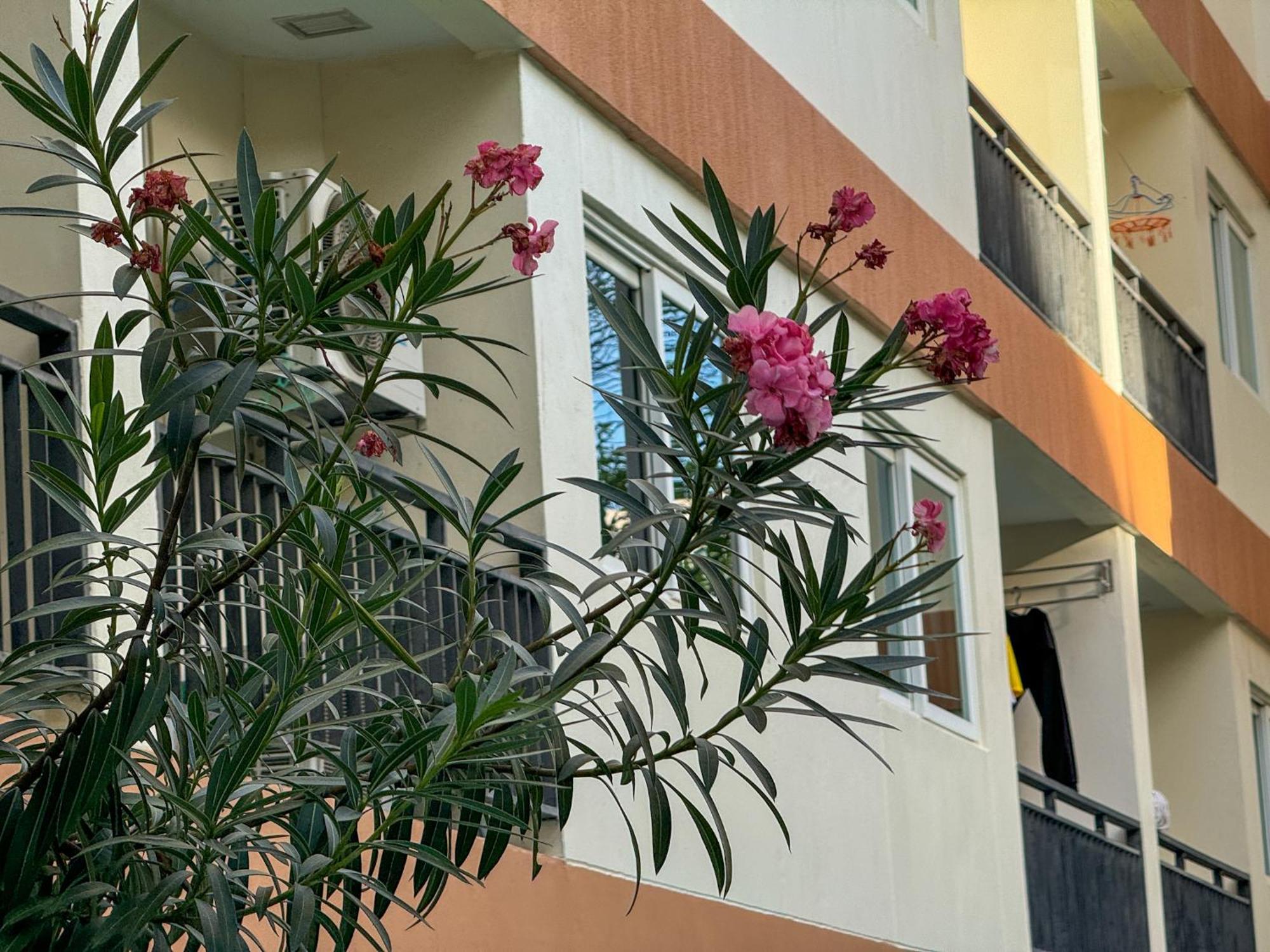 卧室直达泳池 全网最低价 到中天海滩5分钟 Jomtien Beach Exterior foto